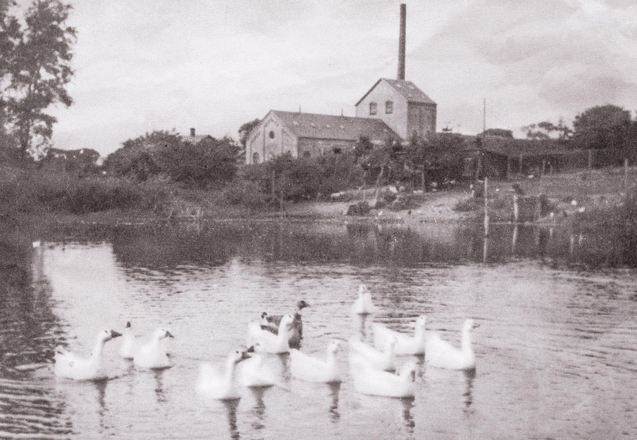 Historisk billede fra Saftstationen i Damme med sø i forgrunden